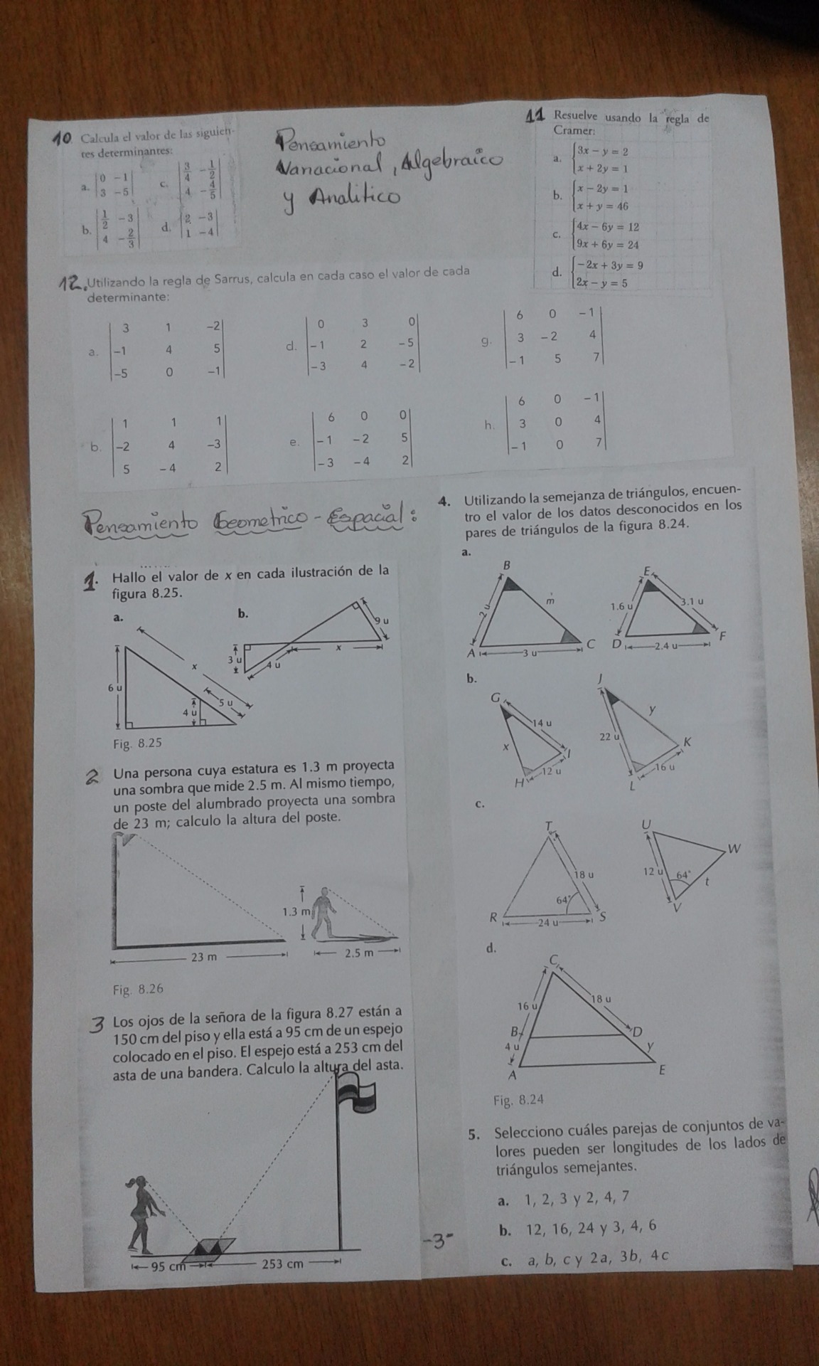 no resolver los puntos 10  y  12